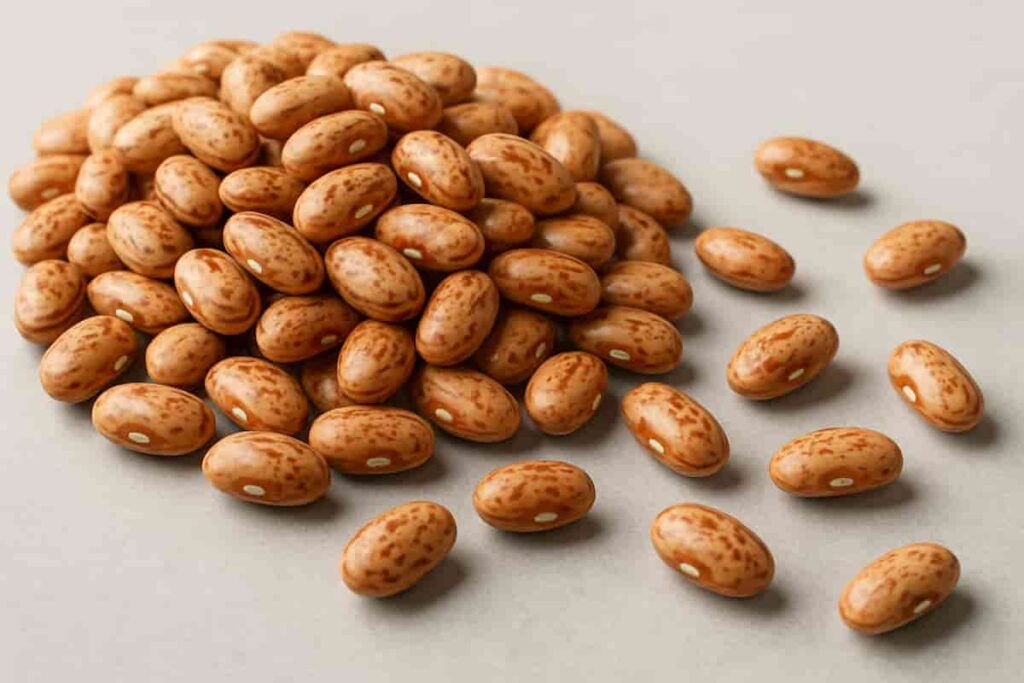 raw-pinto-beans-closeup.jpg