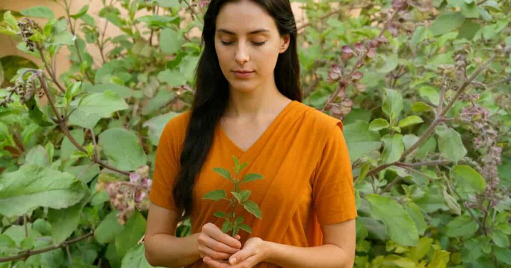 A woman holding fresh Holy Basil (Tulsi) leaves, a natural Ayurvedic remedy for stress relief and relaxation.