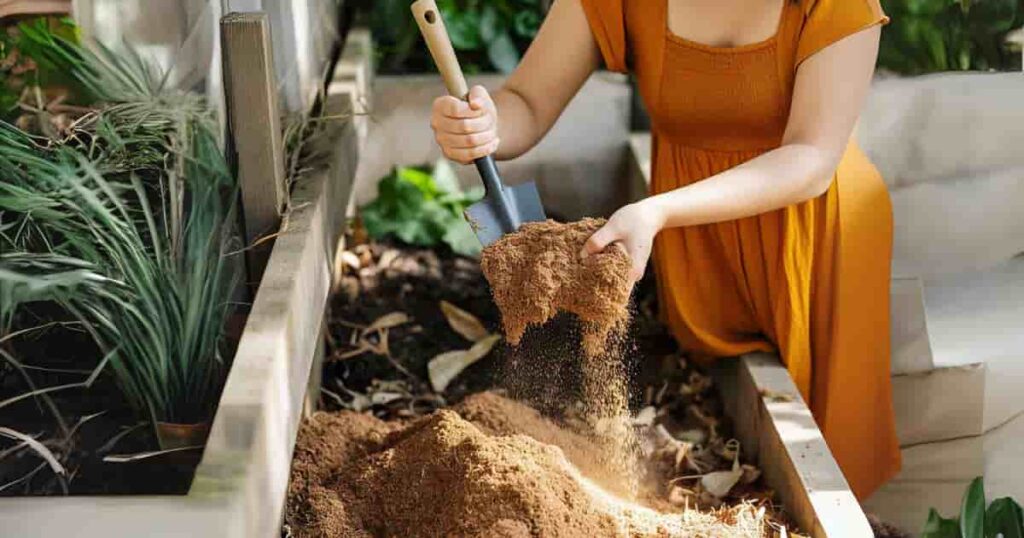 Sustainable gardening close-up showing coconut husk being transformed into natural potting mix and compost material, highlighting its water retention and aeration benefits for plants.