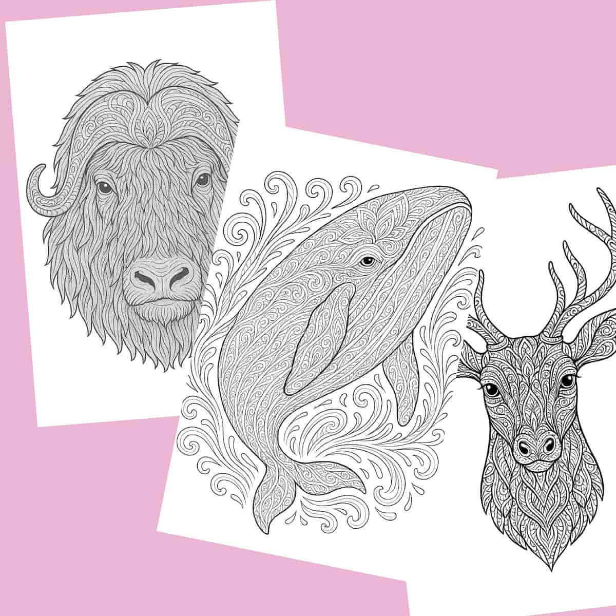 Single-sided  coloring pages suitable for markers and pens