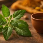 Fresh holy basil (tulsi) leaves and Ayurvedic tea, showcasing natural remedies for stress relief and immunity boosting.